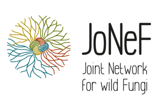 Jonef logo