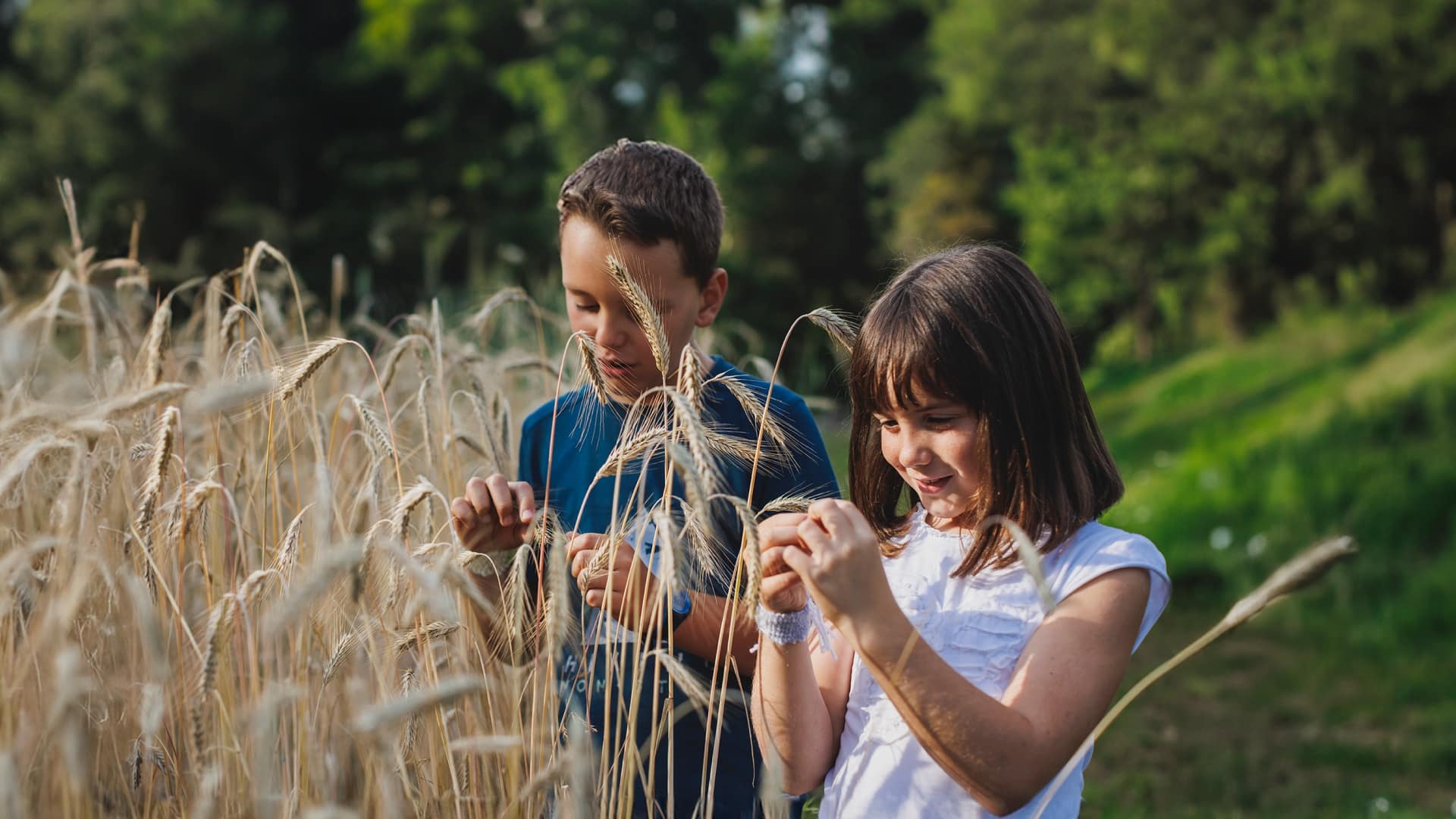 Un bambino e una bambina in un campo di grano.