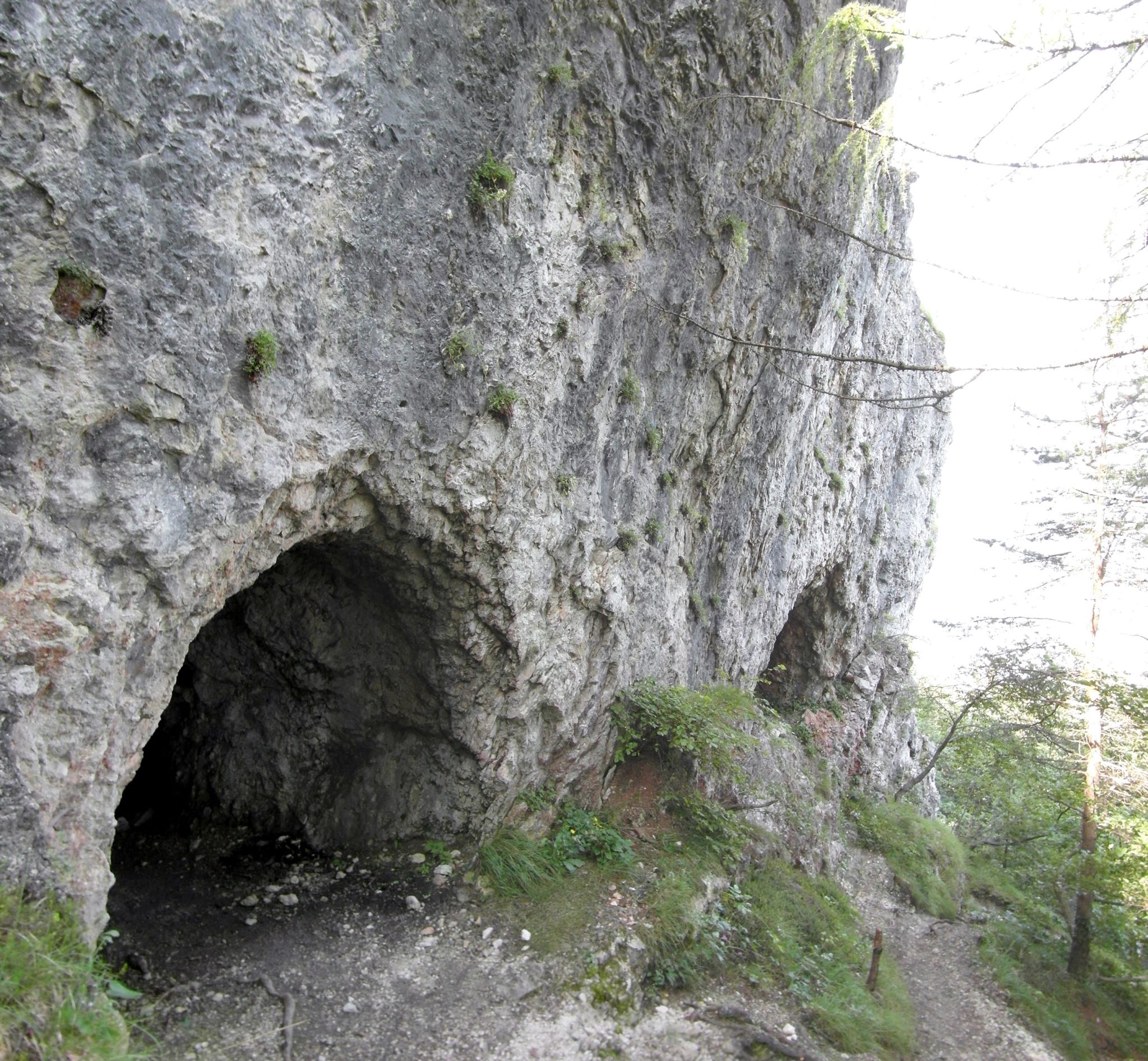 Monte_Calisio_-_ingresso_tunnel_04