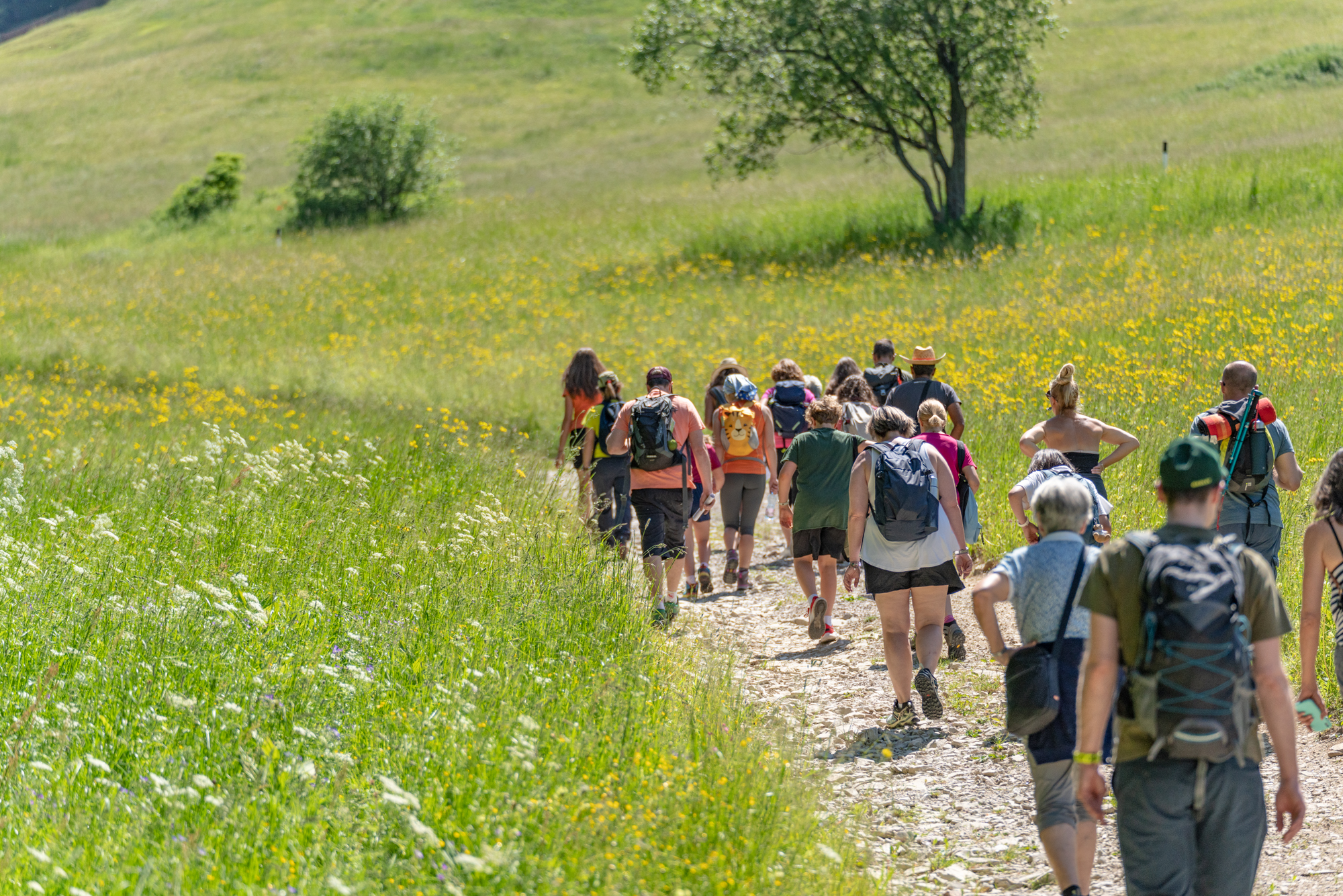 Passeggiata lungo i sentieri del Monte Bondone